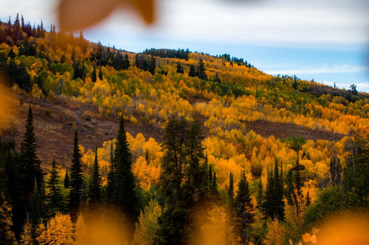 Enjoy Fall 5 fall hikes to enjoy near Twin falls – Earth To Sarah
