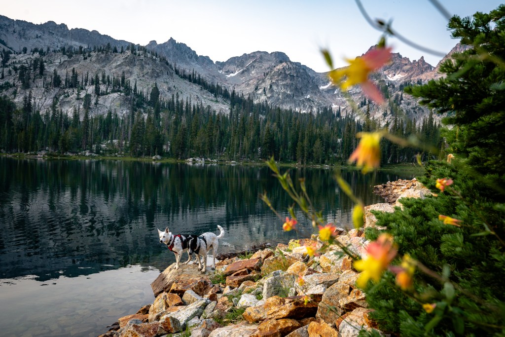 Alpine Lake in Sawtooths